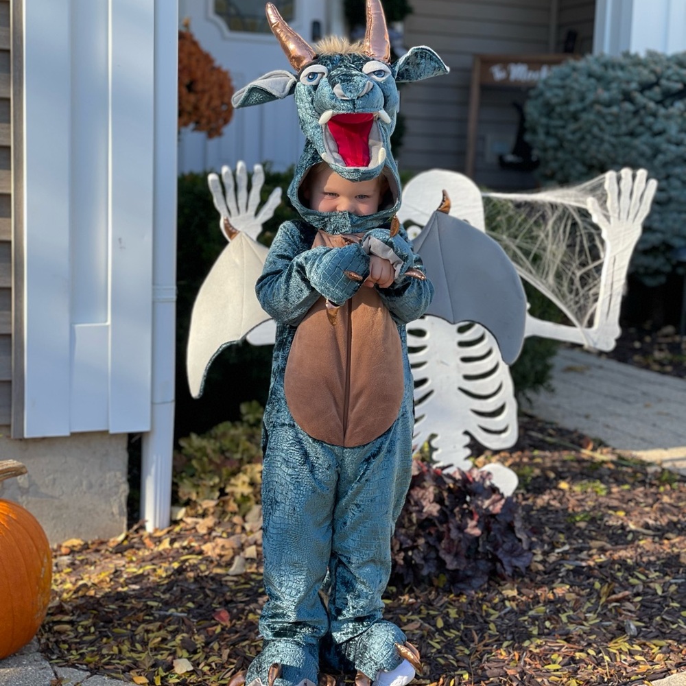 FAO Schwarz Kids Dragon Costume Worn Once!